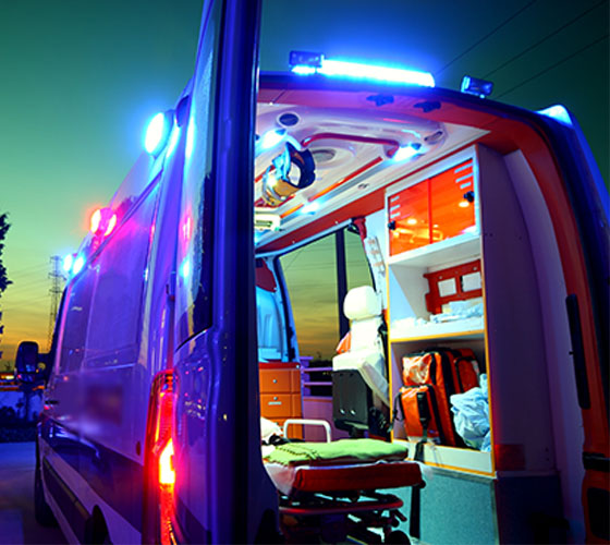 兴城市车辆内部展示